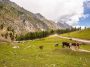 seven days trip to northern areas of pakistan